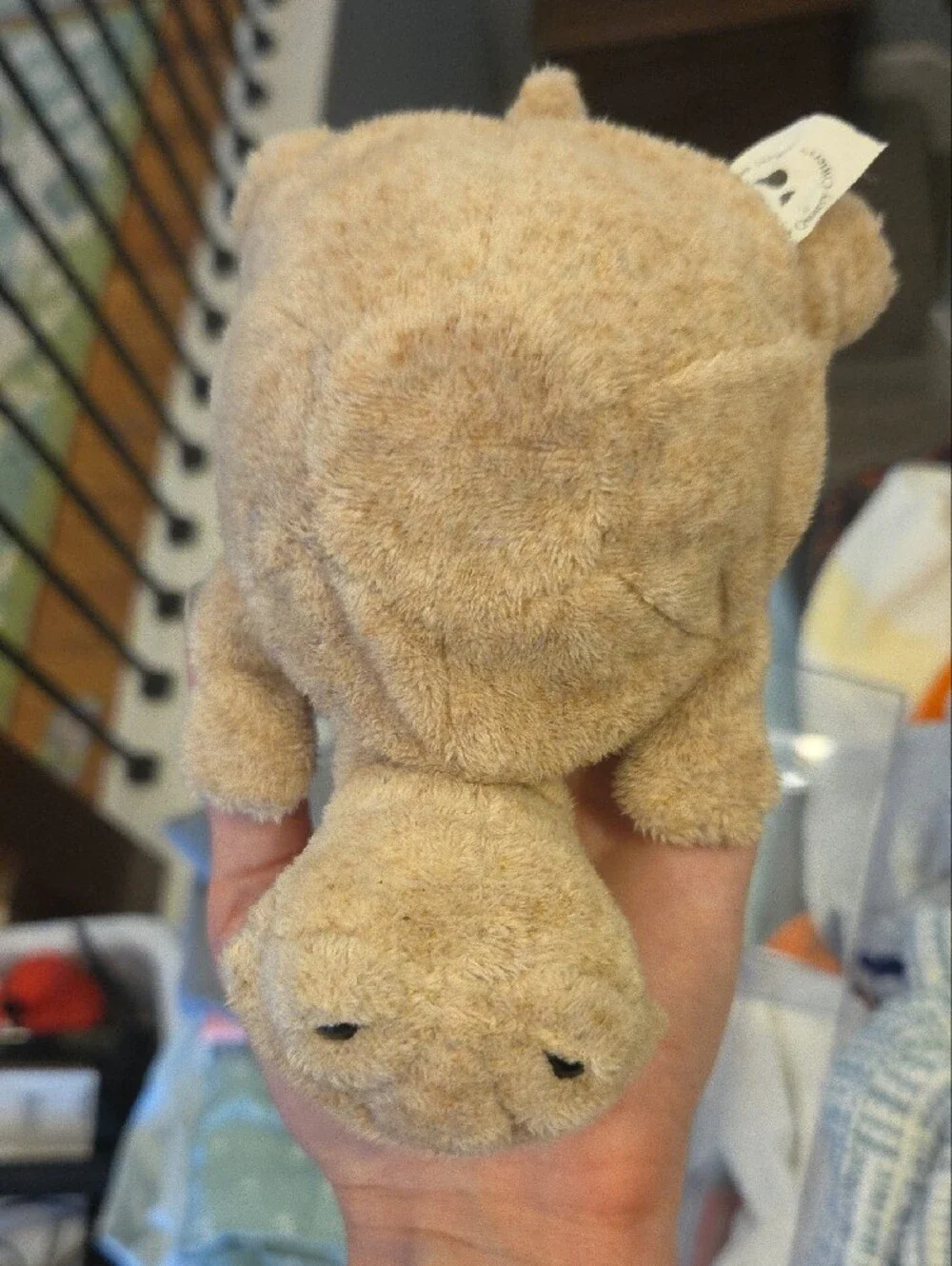 Plush Small Pet Turtle Toy in Light Brown